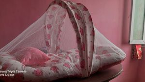 Kids Step New Born Baby Gift Pack Pink Mosquito Ne