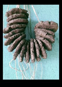 Cow Dung( Used For Plants And Rituals) -Gomatha,Ga