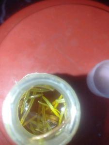 Homemade 100%pure Organic Rosemary Oil