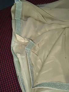 Elegant Beige Net Dupatta