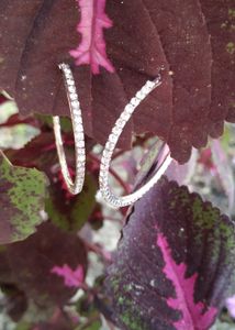 Sparkling Hoop Earrings