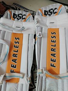 DSC Cricket Batting Pads