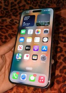 iPhone 14 pro max
