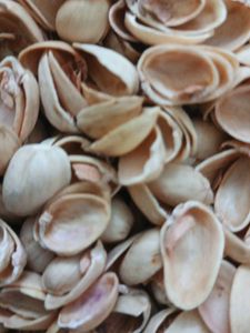 Pista shells for creative craft works