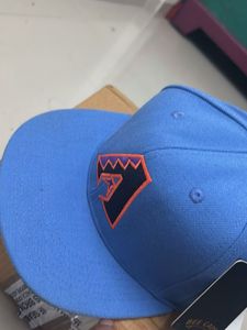 Blue Baseball Cap