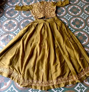 Crop Top lehenga Choli....