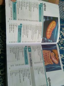 A Complete Text Book Of L.science ,class 11.