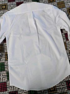 Polo Ralph Lauren Shirt