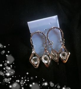 Branz Earing
