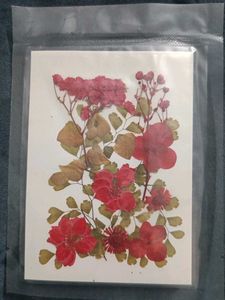 Pressed Flower Art Card