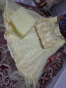 Elegant Lehenga Choli Set