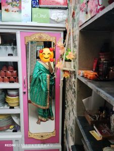 Elegant Green Sari