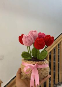 Tulip flower pot