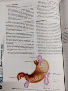 Human Physiology (CC Chatterjee) Volume 1&amp;2