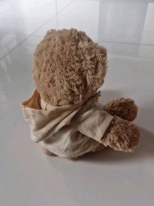 Cute Hoodie Teddy