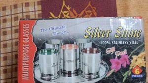 6 Steel Glasses