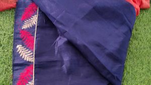 Elegant  Embroidered Saree