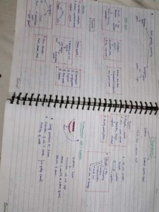 Class 11th Bio Toppers Batch Notes