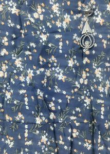 Beautiful Women Blue Printed Dress