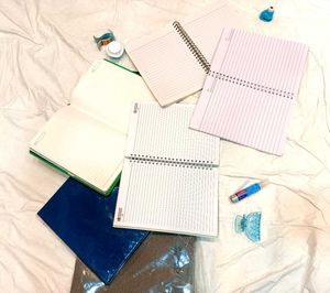 Pack Of 8 New Diaries