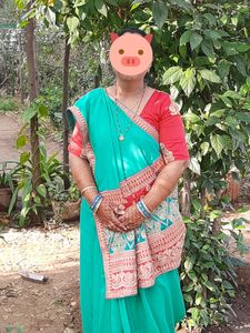 Saree With Heavy Blouse