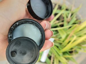 trial packs of pilgrim and plum moisturizer