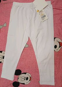 PADMAKSHI premium cotton fabric skinny fit