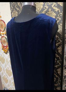 Elegant Navy Velvet Dress