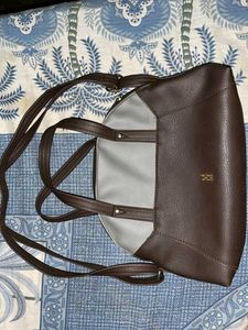 Baggit Bag