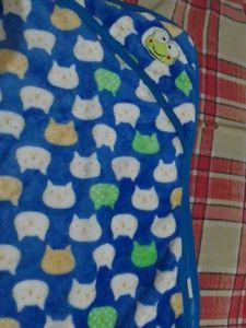 Cute Blue Cat &amp; Frog Hooded Baby Blanket