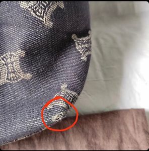 Authentic Celine Bag