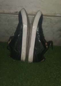 Roadster Black Casual Shoes