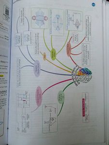 Oswaal Question Bank CBSE X