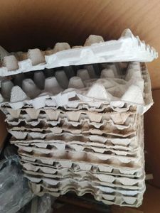 Egg Crate Tray Pack Of 20