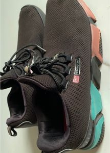Women Campus Sport Shoes