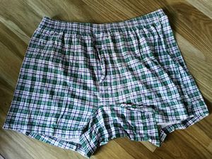 Boxer