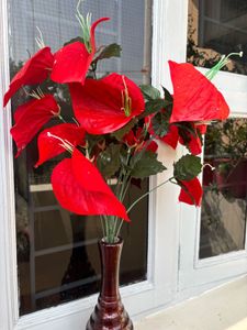 Red Anthurium Arrangement