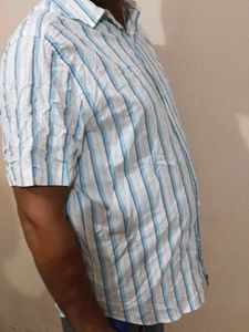 Striped Short Sleeve Button Down