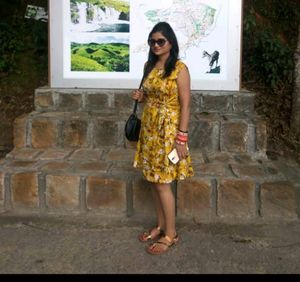 Musterd Color Dress