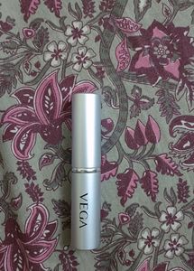 Vega Powder/Blusher Makeup Brush