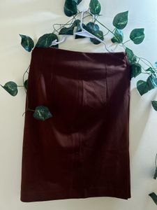 Brown Straight Skirt