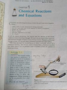 Class X Science Textbook