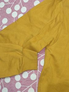 (2 Hoodies) Mustard &amp; Light Blue