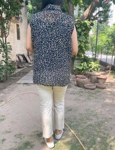 Sheer Buttonup Top