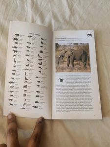 Photographic Guide to African Mammals