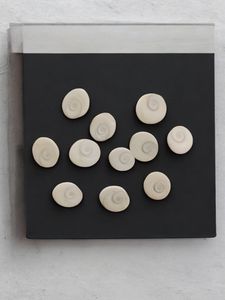 Original Gomti Chakra (Set Of 11p )