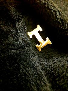 Hermes Gold Logo Belt Buckle