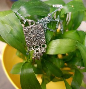 Silver Chain