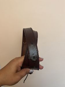 Classic Brown Belt
