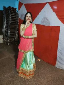 Elegant Indian Lehenga Choli